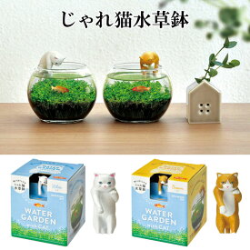 じゃれ猫水草鉢 栽培セット 栽培セット 水草 種 流木 植物 かわいい おしゃれ ギフト グリーン インテリア 置物 グッズ