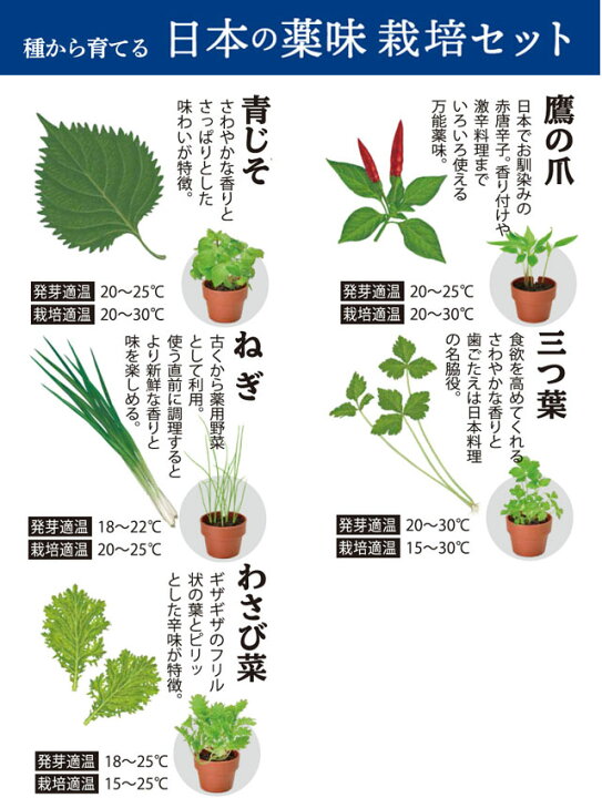 楽天市場 栽培キット 育てるカプセル 薬味 即納 栽培セット 植物 グリーン 青じそ 鷹の爪 ねぎ 三つ葉 わさび菜 野菜 かわいい おしゃれ ギフト グリーン インテリア 置物 グッズ 癒しグッズ専門店 なごみ