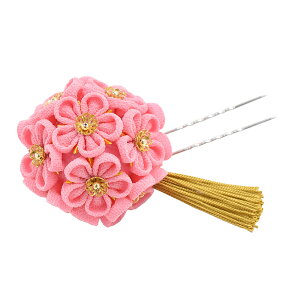 _BlackFridayŏI^ a  l U ʔNp { ܂ݍ׍H ߂  gR[t q  񂴂  瑕 l fB[X ݌Ɍ聚