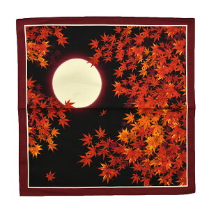 _匈Zso[Q^ C~  ʔNp { [LE] ȏӂ낵 ގ  `obO ٓ  l  jő唼zN[|