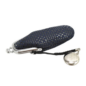 _P3{Iԋ߁^ 5.0yLO1ʎ܁z a nRP[X ʔNp { [B] cӓ ܌ `IH|i bB` uh v {v U[  瑕  l  