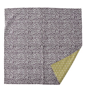 _匈Zso[Q^ C~  ʔNp { [LE] ȗLE䗼ʂӂ낵 ×t  ގ  `obO ٓ 瑕  l  jő唼zN[