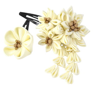 _BlackFriday×܂Ƃߊ^ yLO1ʎ܁z ܎O  3 ʔNp { pb` 2Zbg ݃J[ ܂ݍ׍H 瑕 q ̎q 