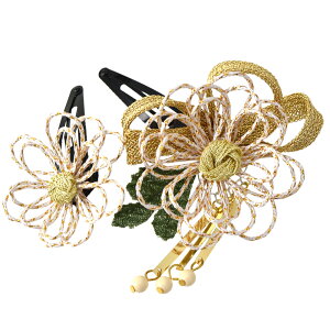 _匈Zso[Q^ 5.0yLO1ʎ܁z ܎O  3 ʔNp { gR e pb` 2Zbg  瑕 q ̎q BIG{[iX܁