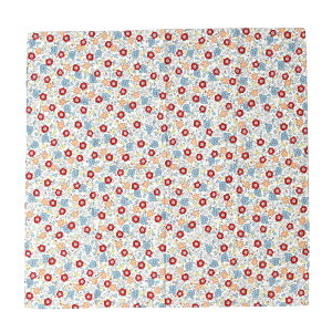 _܂ƂߊIԋ߁^ 4.9yLO1ʎ܁z C~ ʏ ʔNp { [ނ] 70͂ ~jobO GRobO َq r  fB[X  ̎q 