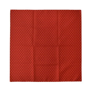 _܂ƂߊIԋ߁^ 4.1yLO1ʎ܁z C~ ʏ ʔNp { [ނ] 70GF x~ ~jobO GRobO َq r 瑕  l  j