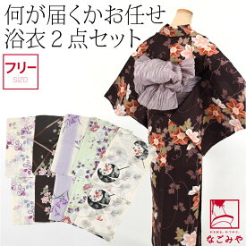 ＼いちばの日×P20倍／ 【ランキング1位受賞】 浴衣 セット レディース 夏用 福袋 浴衣 兵児帯 2点セット レトロ 古典柄 シック かっこいい 高見え 夏祭り 夕涼み 花火 おしゃれ 大人 レディース 女性★在庫限り★