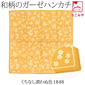 _P3{Iԋ߁^ nJ` K[[ ʔNp { [] ӂ K[[nJ` ӂ ڂ Ԃ ct ۈ牀 @ @  l  j