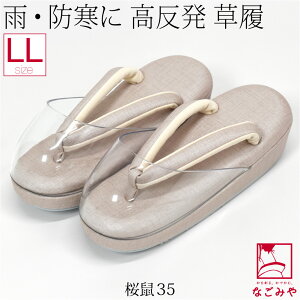 _Vi^ h ʔNp { VL[ J  NbV 傫TCY  ܔt J  ܐ ΍ a J   l fB[X 