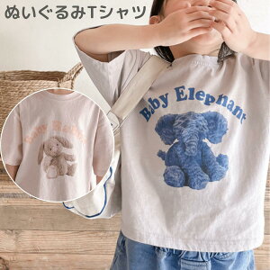 xr[ ʂ TVc    ]E  rbg ETM gbvX Jbg\[ Vv  ۈ牀 ̑