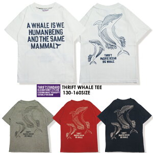 y20%OFFzSALEyTHRIFT STANDARD 09-17zTHRIFT WHALETVctVc  gbvX LbY 130 140 150 160 LbYT AJWTVc Be[W HT qTVc j  100  T v[