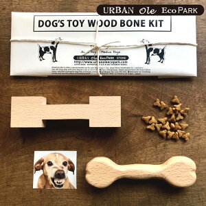 yNbN|Xgz hbOgC Ebh{[LbgLbg ̂߂ɍ^ؐłDIY KIT ^`^Ώ IWi̖ؐ ̃f^PA  T