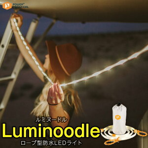 Luminoodle/~k[h1.5m(150cm)piCobOtŃ^ƂĂg 180[ [v^hLEDCg AEghACeAɎgUSBdLEDCg [vCgyPρz