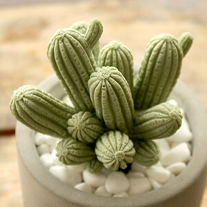 V[/ MERCYU MRU-73 T{ẽ[hfBt[U[ mfBbNRNV {̑Â悤ȉ炵[hfBt[U[ ̓`F[ubTƃzCgXN