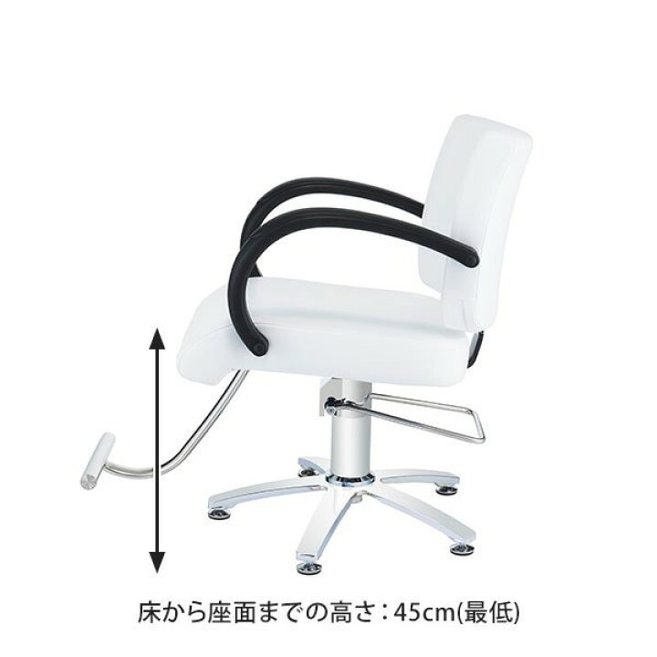 楽天市場】【2年保証】スタイリングチェア Standard ST-629 オフ 
