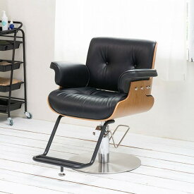 スタイリングチェア PREMIUM MODERN ブラック セット椅子 セットイス セットチェア カットチェア カット椅子 カットイス 美容室 椅子 美容師 開業
