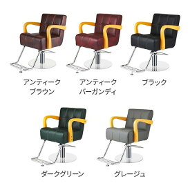 スタイリングチェア PREMIUM ベニス 全5色 セット椅子 セットイス セットチェア カットチェア カット椅子 カットイス 美容室 椅子 美容師 開業