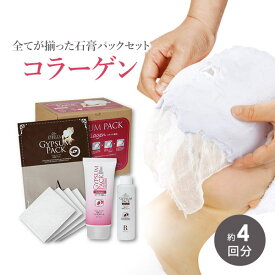 楽天市場 石膏パック 業務用の通販