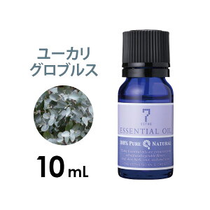 A}IC GbZVIC  EbfB[n [J OuX 10mL A}}bT[W A}es[ A}fBt[U[