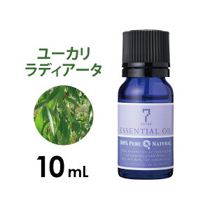 A}IC GbZVIC  EbfB[n [J fBA[^ 10mL A}}bT[W A}es[ A}fBt[U[