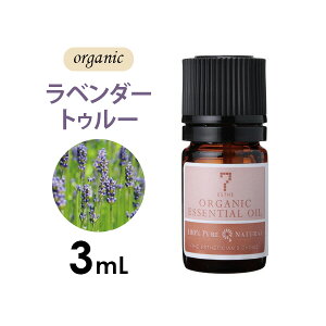 A}IC GbZVIC  t[n x_[ gD[ I[KjbN 3mL A}}bT[W A}es[ A}fBt[U[