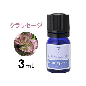 yP5{!11.27 () 1:59܂Łz A}IC GbZVIC  n[un NZ[W 3mL A}}bT[W A}es[ A}fBt[U[