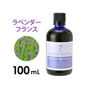 A}IC GbZVIC  t[n x_[tX 100mL A}}bT[W A}es[ A}fBt[U[