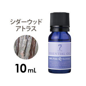 A}IC GbZVIC  EbfB[n V_[Ebh AgX 10mL A}}bT[W A}es[ A}fBt[U[