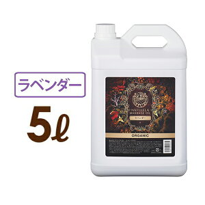 }bT[WIC x_[ 5L vYr i` Ɩp {fB}bT[WIC {fBIC A}}bT[WIC {fB X~O ~l GXe T A} IC GX