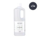 化粧水 ローション ベースローション 5種 保湿 大容量 1000mL モデリングパック ローションパック スージング ブライトニング 専用 エステサロン CICA レチノール ビタミンC プラセンタ ナイアシンアミド NMN
