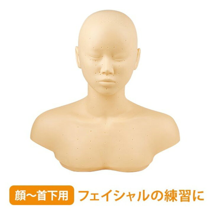 楽天市場】練習用 マネキン デコルテ 土台 幅38×高さ40×奥行20cm 