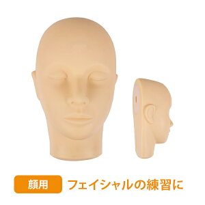 Kp }lL  tFCX y 15×26cm tFCX}lL tFCV}bT[W GXepi (10165)