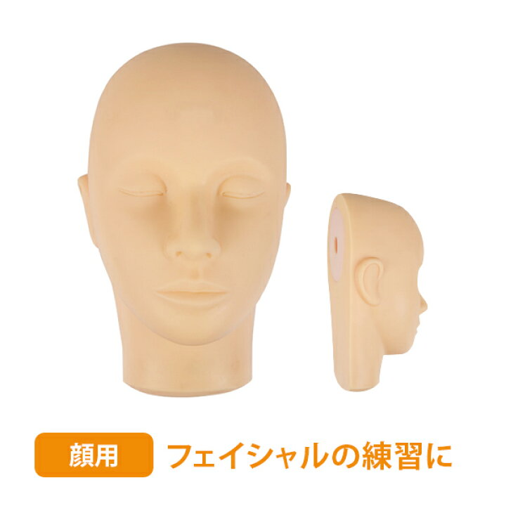 楽天市場】練習用 マネキン 顔 フェイス 土台 幅15×高さ26cm フェイス 