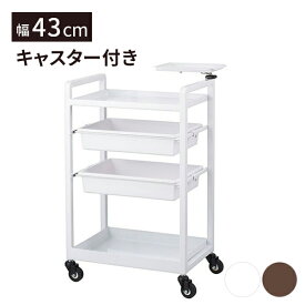 キャスター付き ワゴン 4段 Moe 幅43×奥行29×高さ67.5-85.5cm スチール 収納 エステワゴン ネイルワゴン 美容室ワゴン サロンワゴン ラック サイドワゴン 収納棚 コンパクト スリム 軽量 業務用 おしゃれ