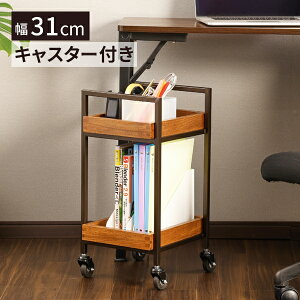 Ebh ؐ S bN LX^[t GCWO RpNg AeB[N 2i _[NuE 31×s27.5×56.3cm TChbN Lb` }`S  GXe lC