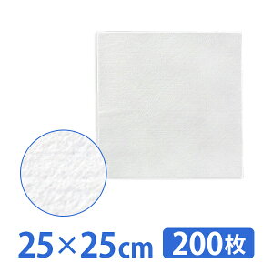 tFCX K[[ sDz Rbg100 25×25cm 200 ϗp Rbg GXepi (11036)