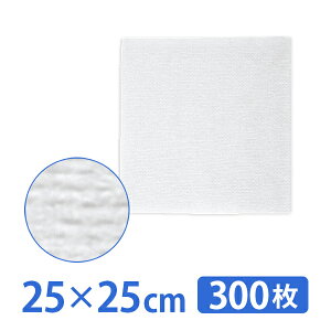 nC[K[[ K[[ ×p sDz Lv  25×25cm 300 ϗp Rbg GXepi