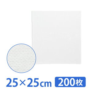 tFCX K[[ sDz [70 |GXe30 25×25cm 4 200 ϗp Rbg GXepi