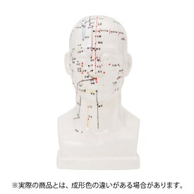 楽天市場 経絡 経穴 人形の通販