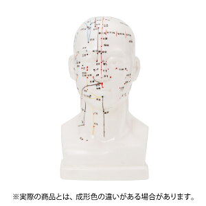 l̖͌^ ol`  I͌^  20cm I o͌^ l̕W{ l̃f ol` l ͌^  c{ }bT[W   ̉@ I@ nEB 7EFl