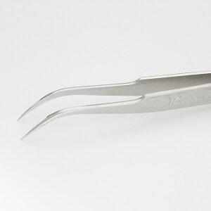 ܂GNXe cC[U[ WORLD LASH XeX { Ȃ^ cB[U[ cCU[ є sZbg ACbV ܂уGNXe ܂GN }cGN