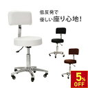 【楽天スーパーSALE限定5％OFFクーポン！ 12.11（木） 1:59まで】 背もたれ付き スツール DX 低反発クッション キャスター付き 丸椅子 高さ42-54cm キャスター スツール 回転椅子 エステスツール カット チェア ネイル サロン 美容室 施術 昇降式在宅勤務 テレワーク