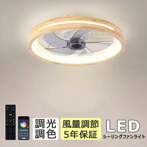 シーリングファン 天然木 シーリングファンライト ファン付 LED シーリングライト ウッド 薄型 8畳 10畳 12畳 高輝度 天井照明 照明器具 調光 調色 常夜灯 メモリ機能 タイマー 省エネ 照明 寝