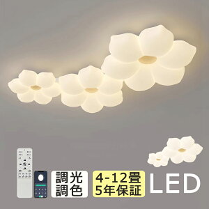 y5Nۏ؁z V[OCg LED    F RtrO Q q kch 6 8 10 12 14 dC Ɩ ^  VƖ X}z Ce