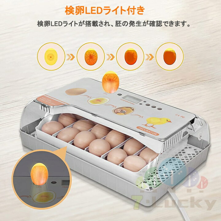 楽天市場】自動孵卵器 インキュベーター 孵卵器 大容量 検卵ライト 入 
