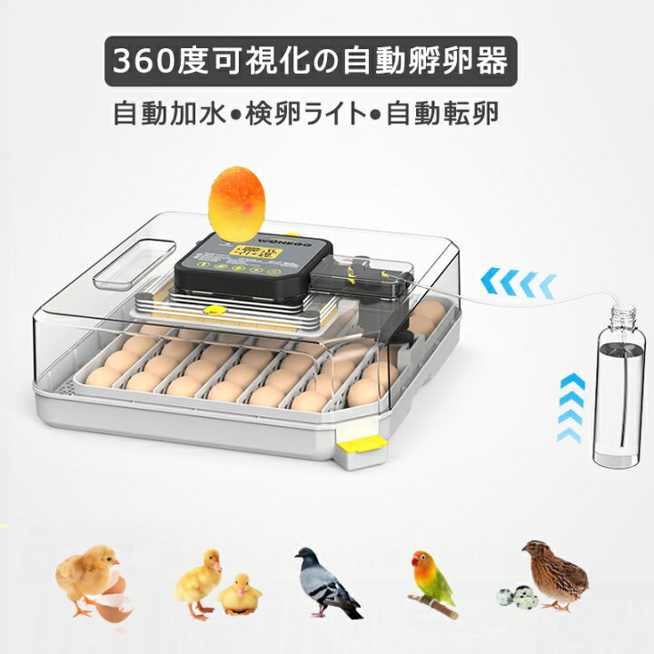 楽天市場】孵卵器 自動孵化機 卵孵化機 孵卵器 自動転卵 最大48枚 