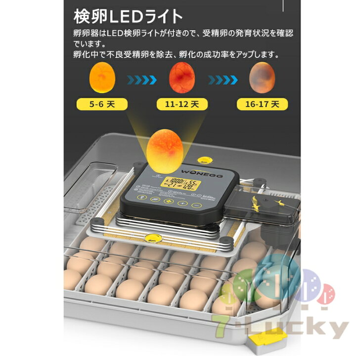 楽天市場】孵卵器 自動孵化機 卵孵化機 孵卵器 自動転卵 最大48枚 