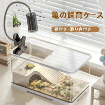 楽天市場】爬虫類 飼育 セットの通販