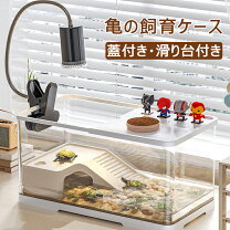 楽天市場】リクガメ 飼育セット（ペット・ペットグッズ）の通販