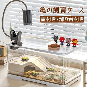 T  T P[X T T̐ 傫 Jp S҃Zbg Wt [@\ ȒP a肪֗  y 甠 TP[W Eoh~ T̊y T NK 